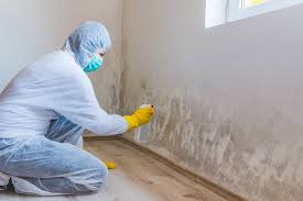 Professional Mold Removal in Portage, IN